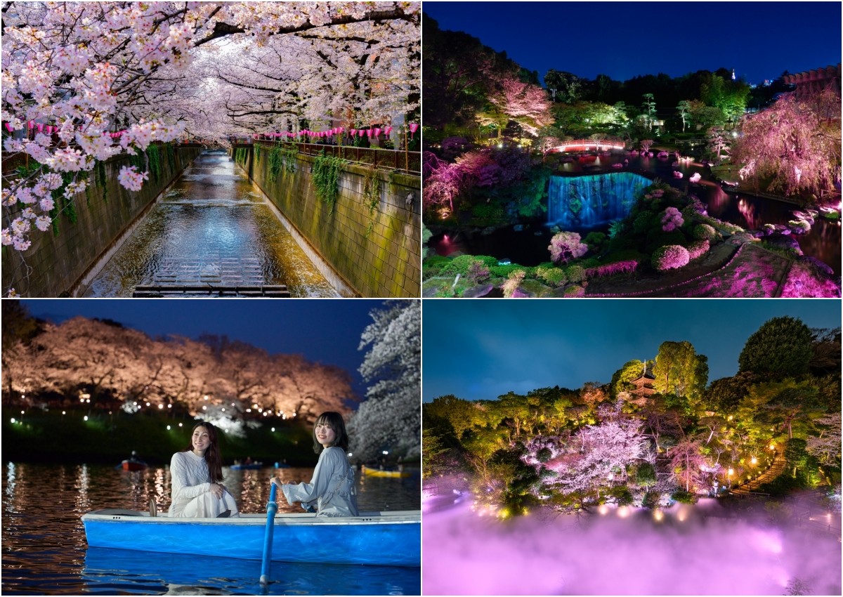 東京 賞櫻 櫻花 名勝 節慶 活動 秘境 攤販