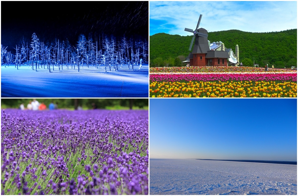 ภาพคอลลาจของทิวทัศน์ตามฤดูกาลของฮอกไกโด