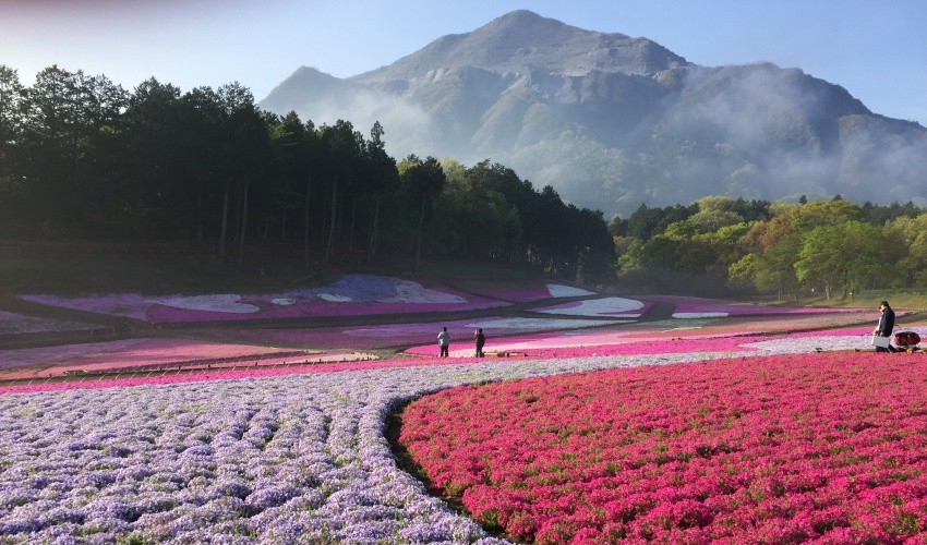 【埼玉縣秩父市】東京人最愛的後花園 四季皆美的迷人景致