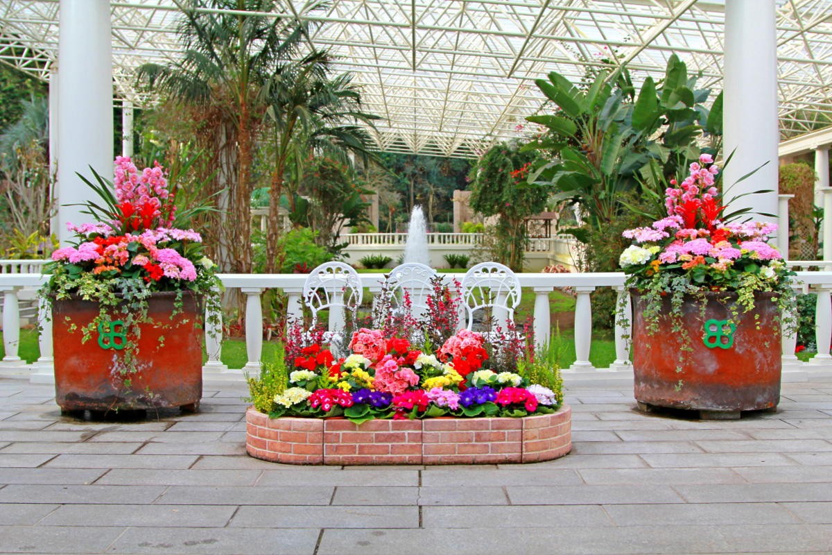 鹿兒島花卉公園 欣賞來自世界各地嘅花卉植物