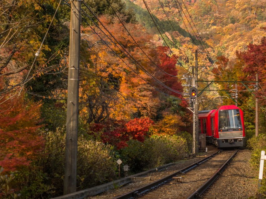 Tàu điện leo núi Hakone có gì hấp dẫn?