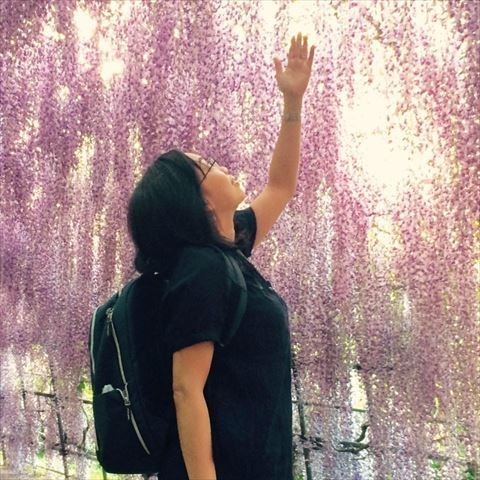 北九州河内藤園 欣賞「日本最美地點31選」其一嘅紫藤花