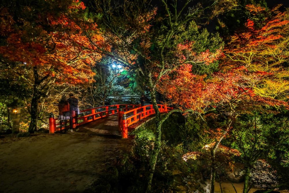Mount Misen – One of Hiroshima’s Best Fall Foliage Spot