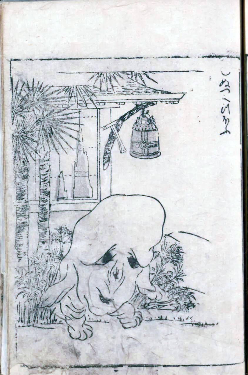 肉瘤怪 妖怪