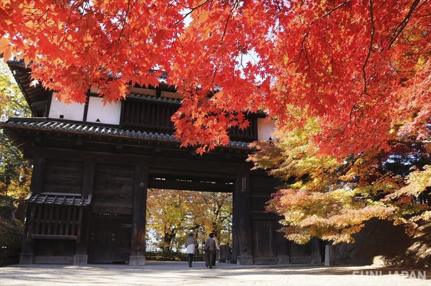 弘前城（弘前公園）：桜だけでなく紅葉シーズンも絶景！