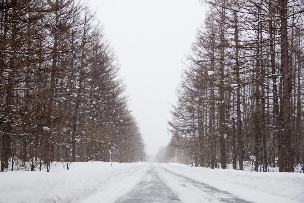 旭川冬季天氣