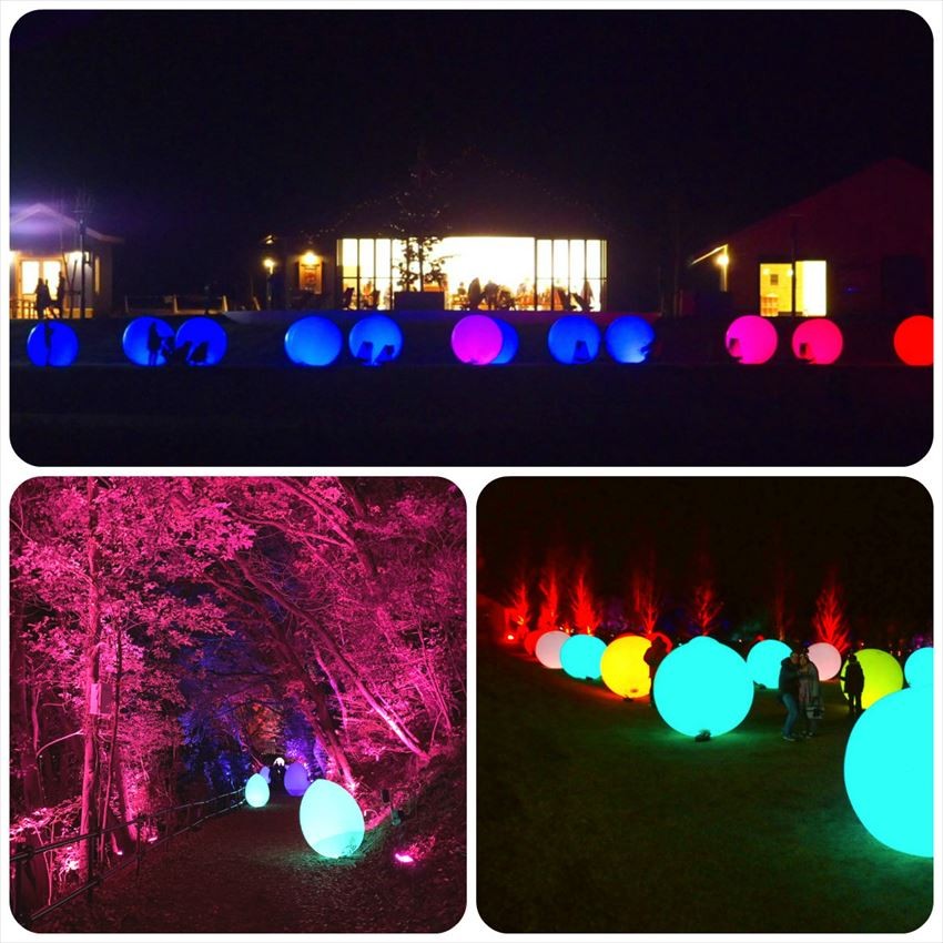 不同顏色的燈光，氣球與自然嘅夢幻組合