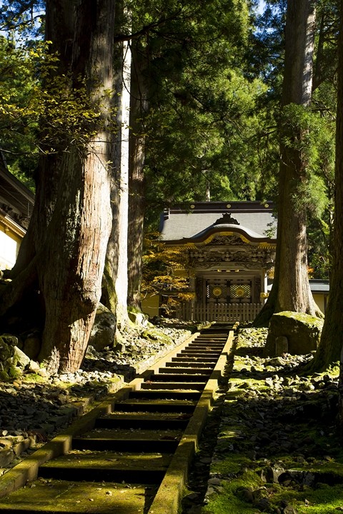 Is Fukui Prefecture's Eiheiji Temple Really the Temple with the Strictest Practices?