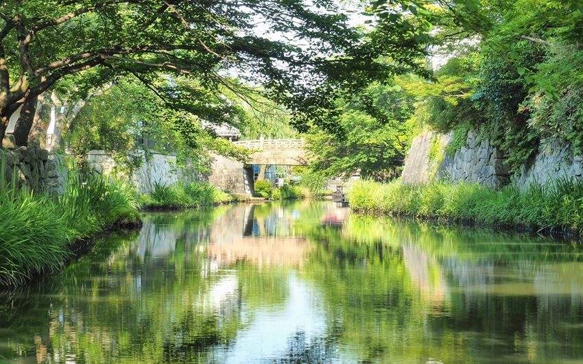 ～來滋賀、奈良參加比賽＆旅遊～欣賞綠色植物，感受自然的和諧，踏上日本自然之旅