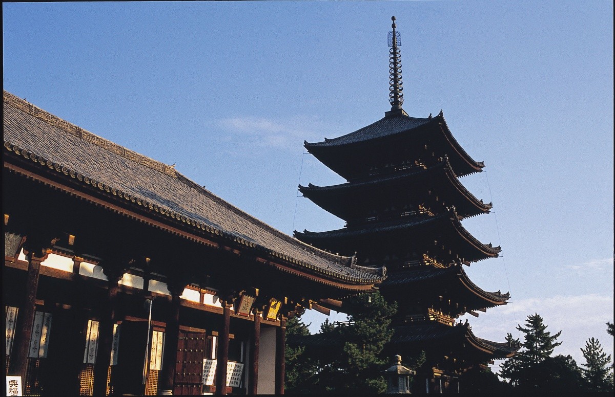 奈良興福寺：擁有1300年歷史的世界遺產