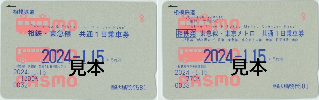 Sotetsu to Tokyu Line & Tokyo Metro One-Day Pass