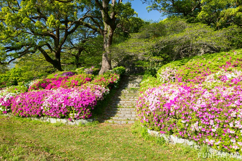 Parks or Scenic Spots that should be Visited in Fukuoka 