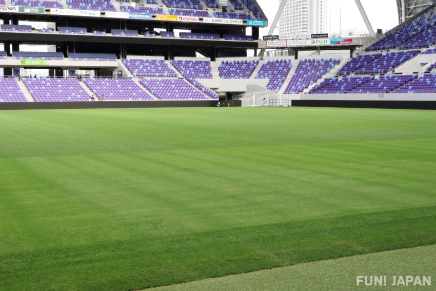 Pitch