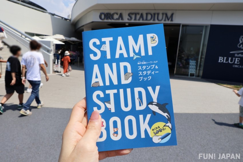 Stamp & Study Book
