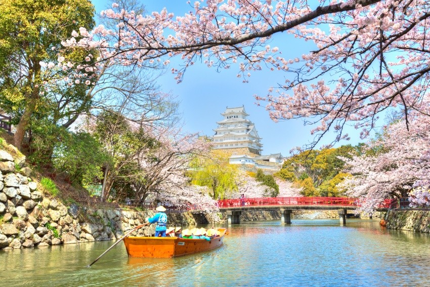 日本首度登錄世界遺產的「國寶姬路城」賞櫻趣