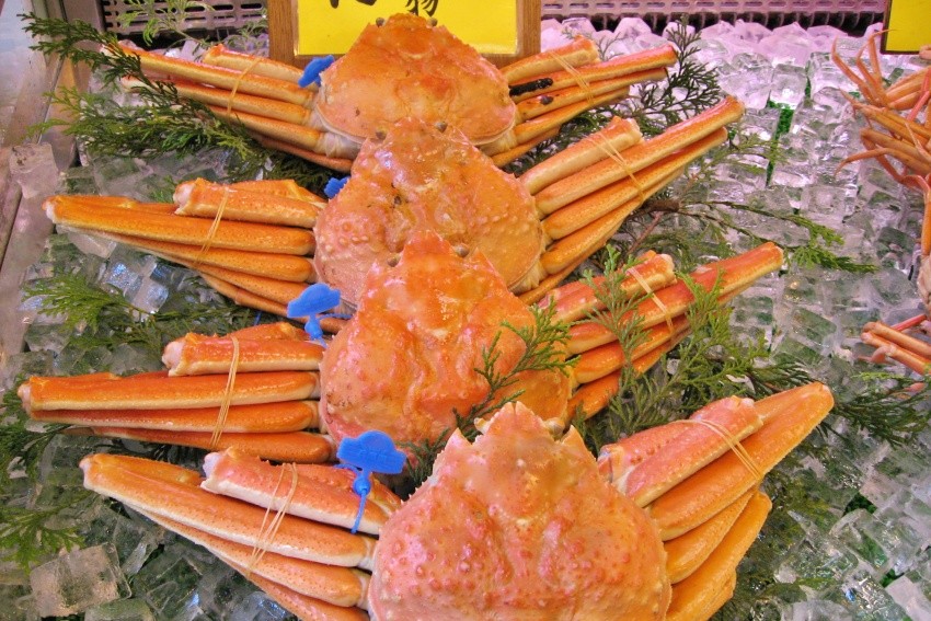 冬季時可在城崎溫泉大啖鮮美的「松葉蟹」