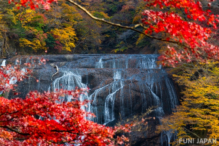 Only 2 hours from Tokyo to the Nature-Rich Place, Ibaraki!