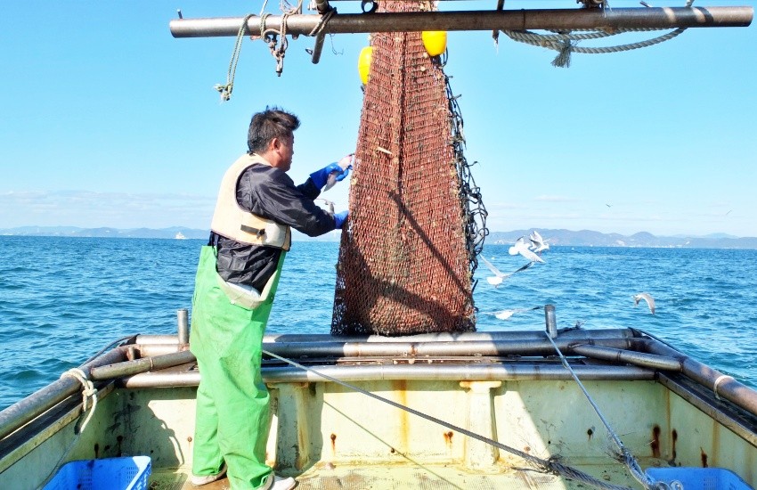 瀨戶內海一日漁夫體驗 現撈現烤海鮮BBQ