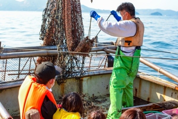 在家島體驗看看現在最受關注的「拖曳網捕魚（底引き網漁体験）」吧！