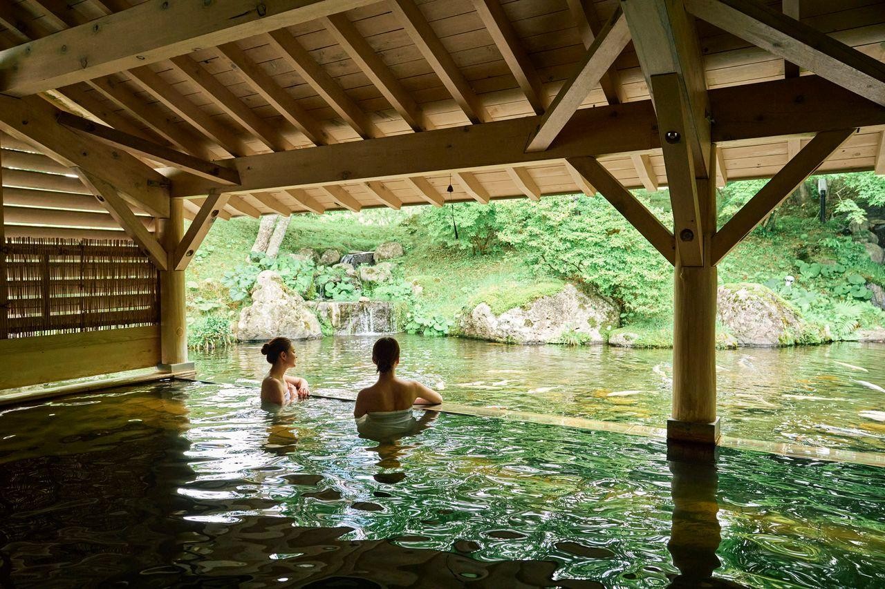 Suối nước nóng có cá chép bơi lội