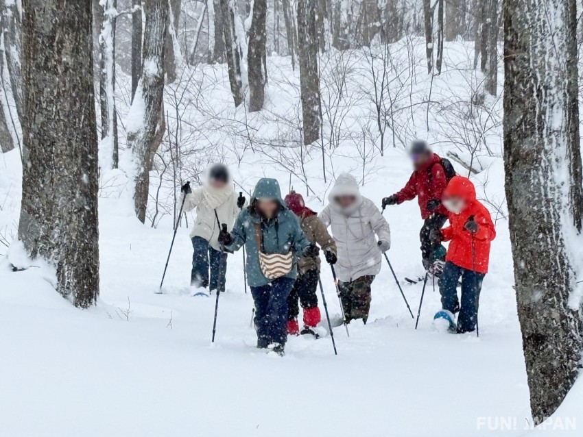 Lộ trình đi bộ trong rừng