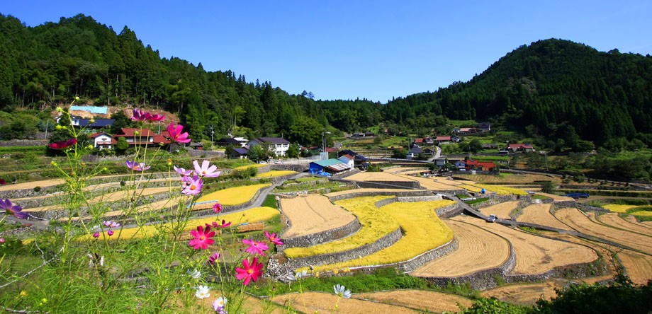 一探廣島的秘境！在「安藝太田町」近距離接觸遼闊的大自然與日本田園風景