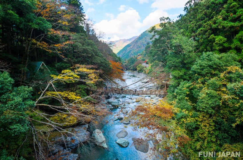 日本四國德島的祖谷溪
