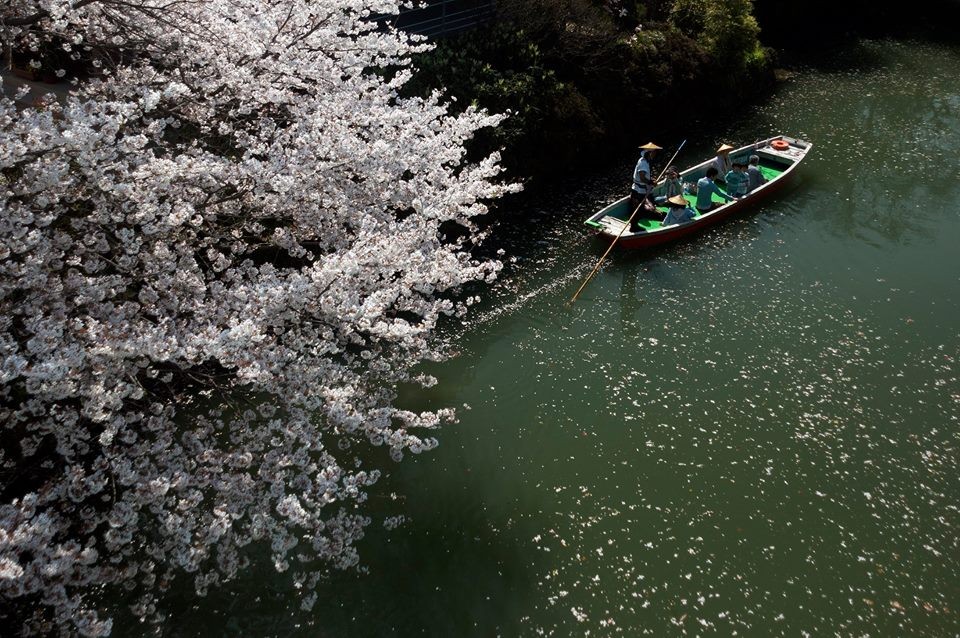 【日本福岡】歷史悠久的水郷「柳川」 季節性精彩活動及美食介紹