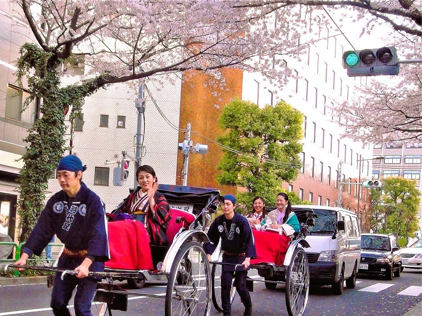 Cherry Blossom Touring by Rickshaw ~Asakusa / Sumida Ohanami Rickshaw~