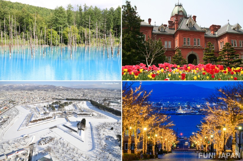 Rental car? Free pass? Touring? A thorough explanation of the how to enjoy sightseeing in Hokkaido efficiently!