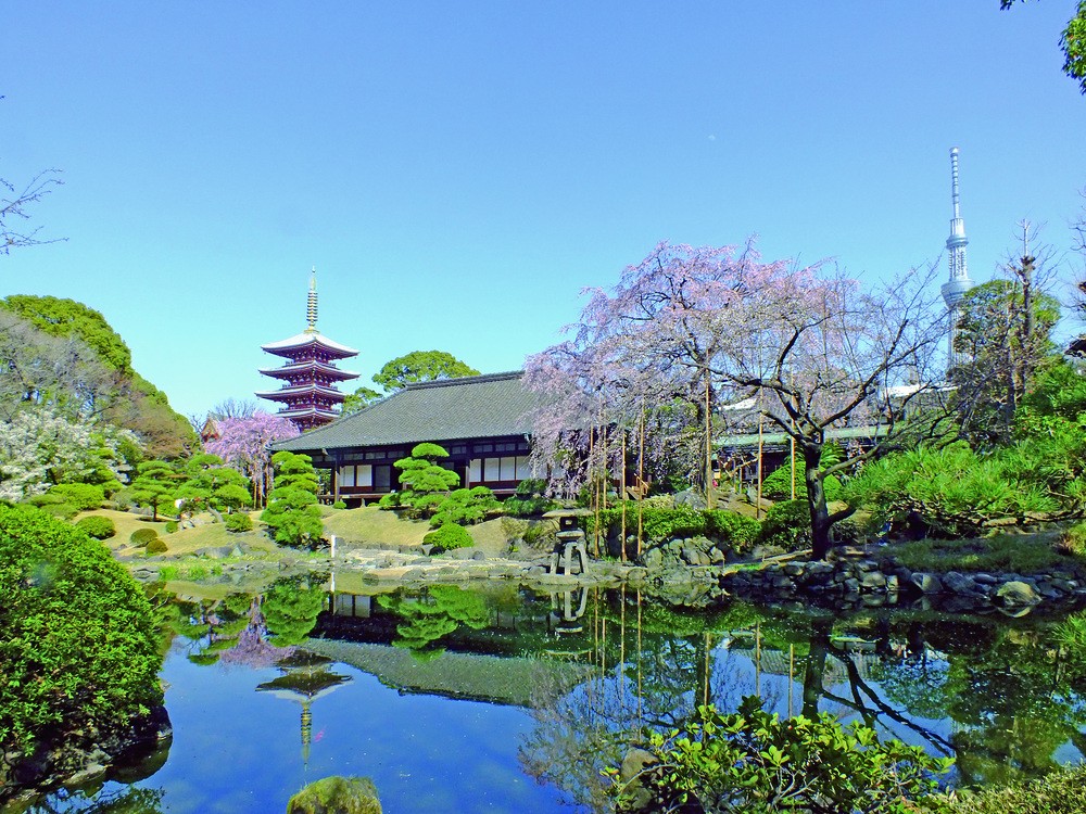 Highlights of Senso-ji Temple 5. Denboin (Japanese garden)