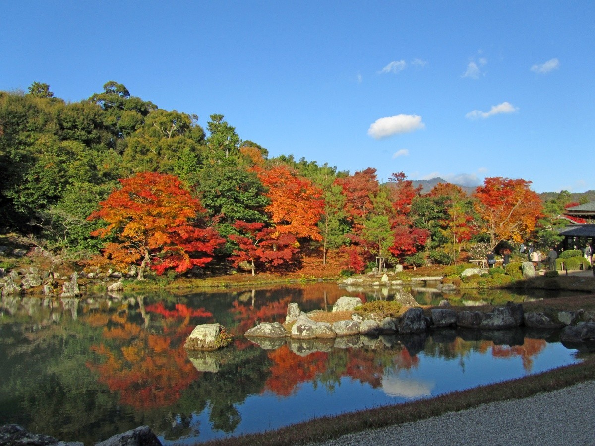 天龍寺曹源池庭園