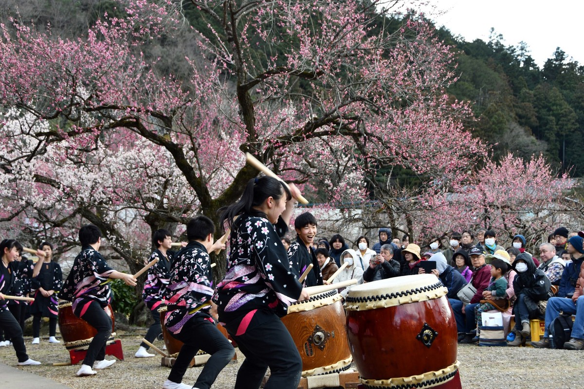 【埼玉県】越生梅林