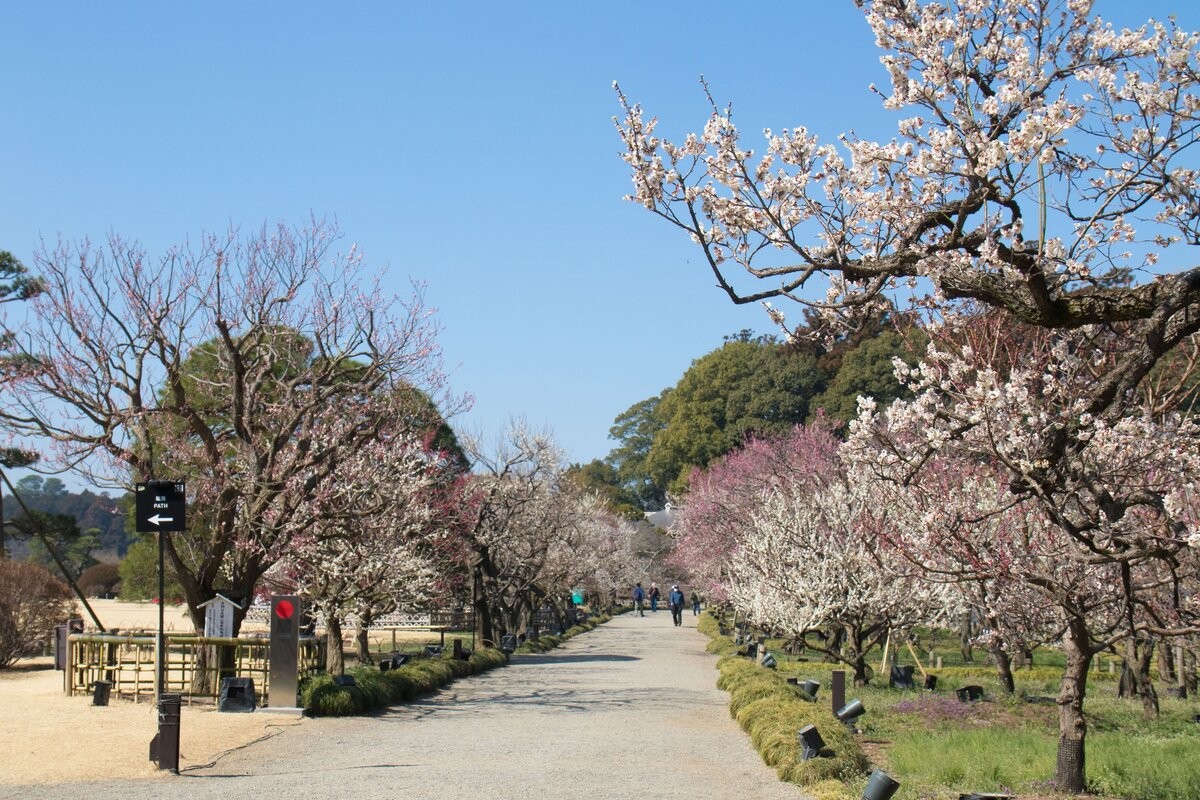 【茨城県】偕楽園