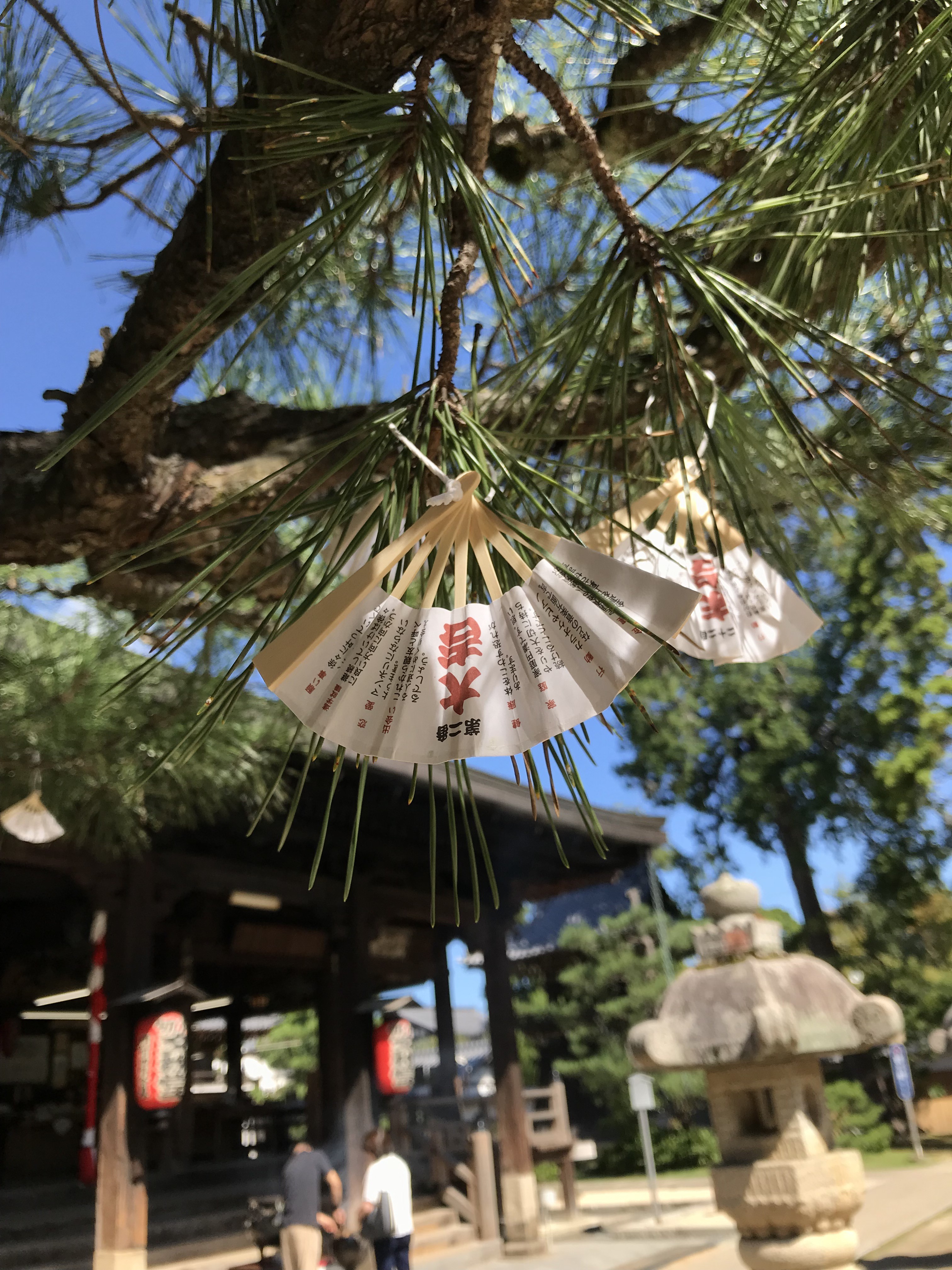 โอมิคุจิ Suehiro Sensu / วัด Chion-ji Amanohashidate [จังหวัดเกียวโต]