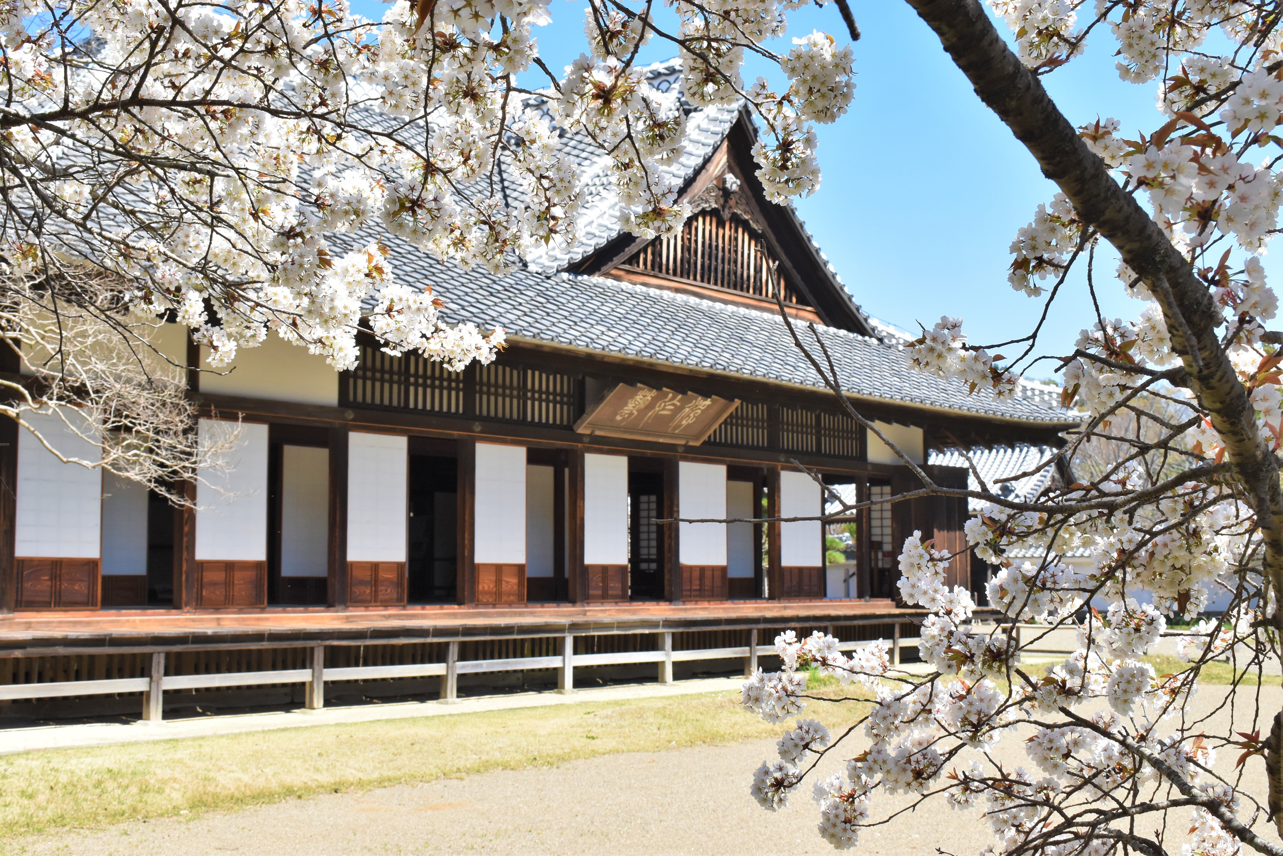 Kodokan, an academic hall of fame surrounded by plum blossoms
