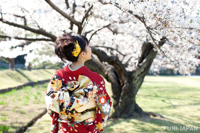 Kimono Hairstyles: Coming-of-age Ceremonial Hairstyles