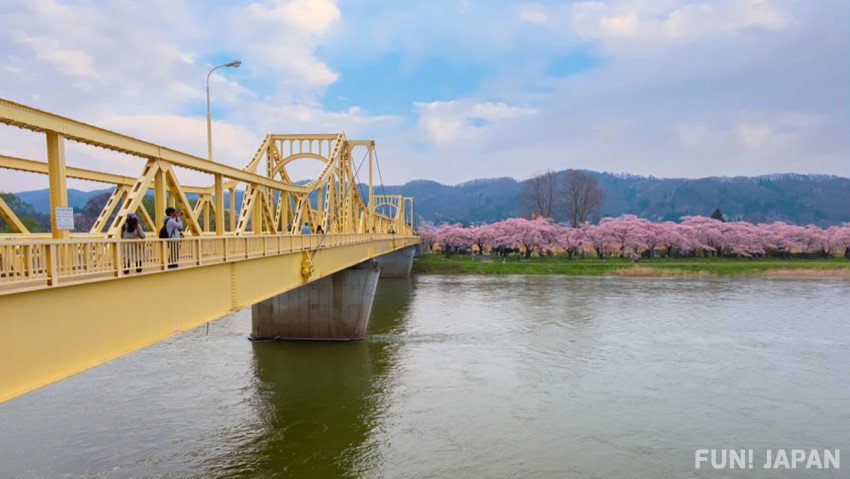 Where is the Famous Cherry Blossom Spot in Japan? Kitakami in Iwate!