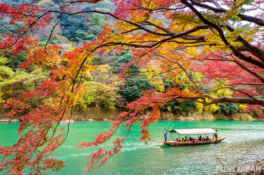 京都的秋（9～11月）