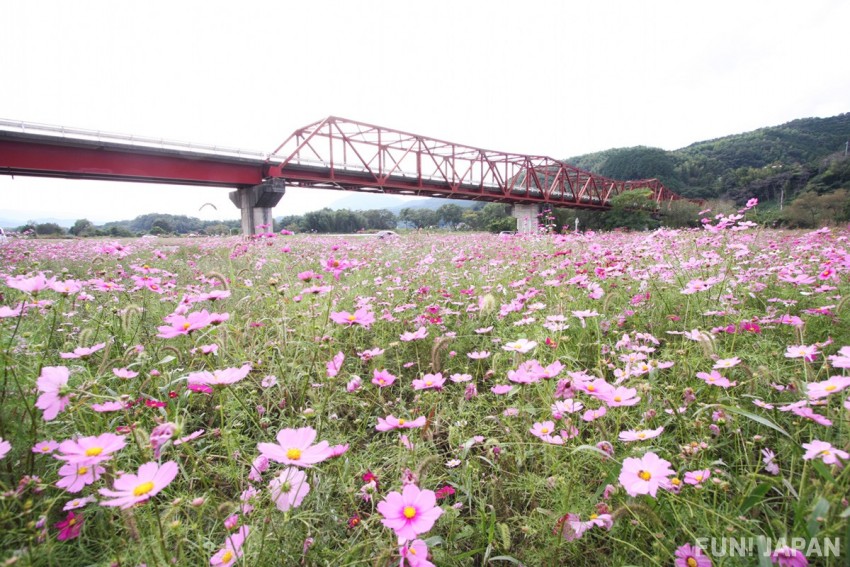 長濱地區：日本最古老彈跳式道路可動橋「長濱大橋」