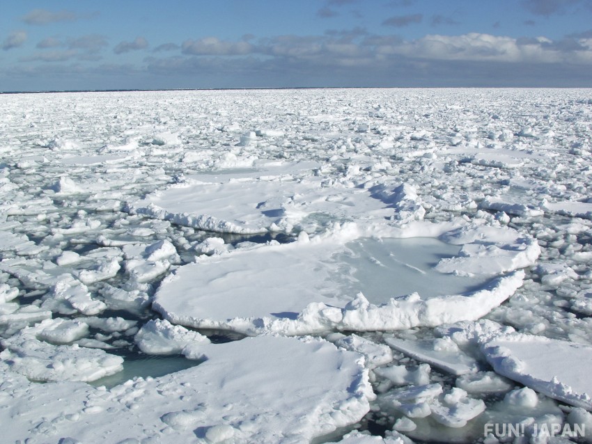 流氷とは？流氷はどこからやってくる？