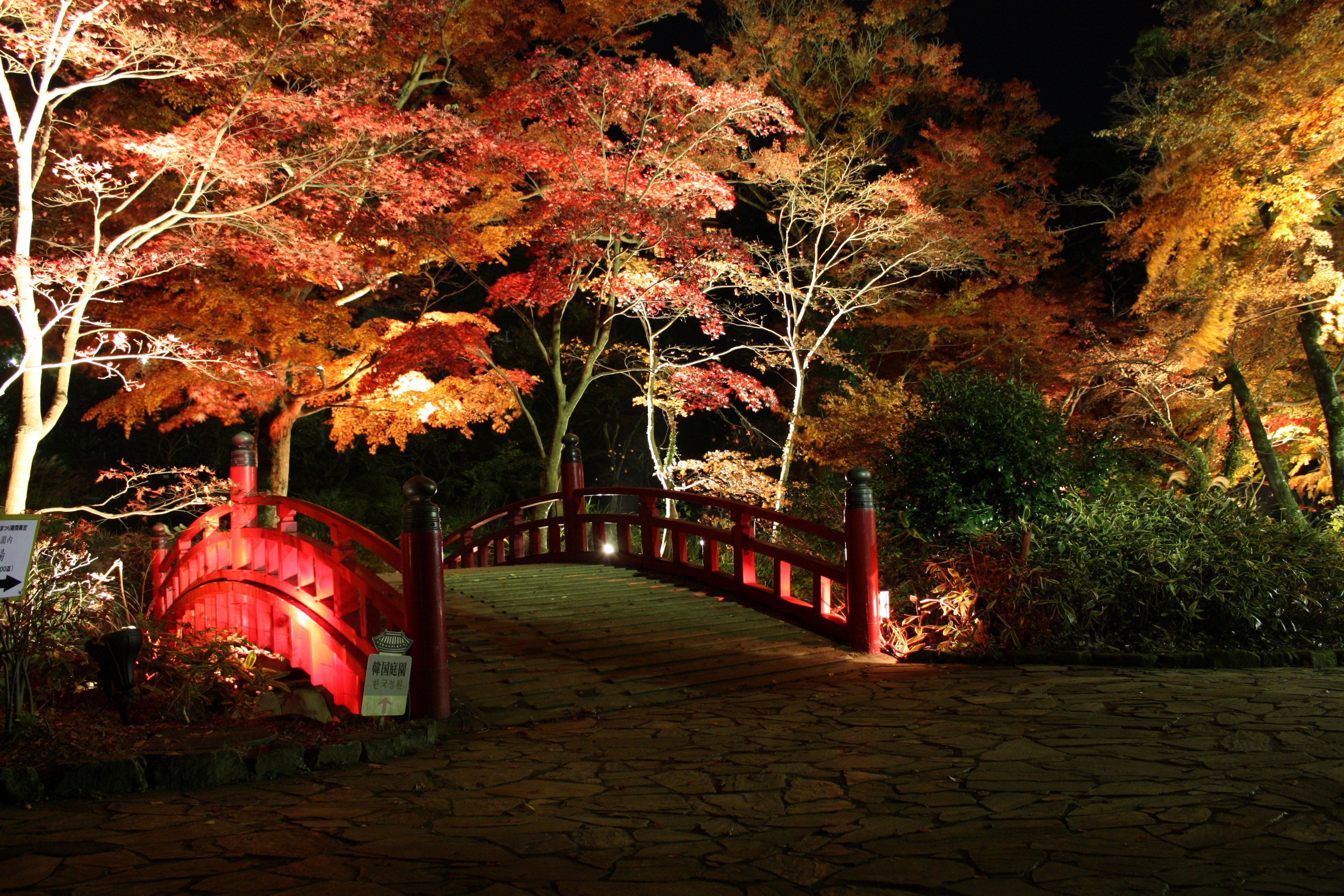 When is the best time to see autumn leaves in Japan?