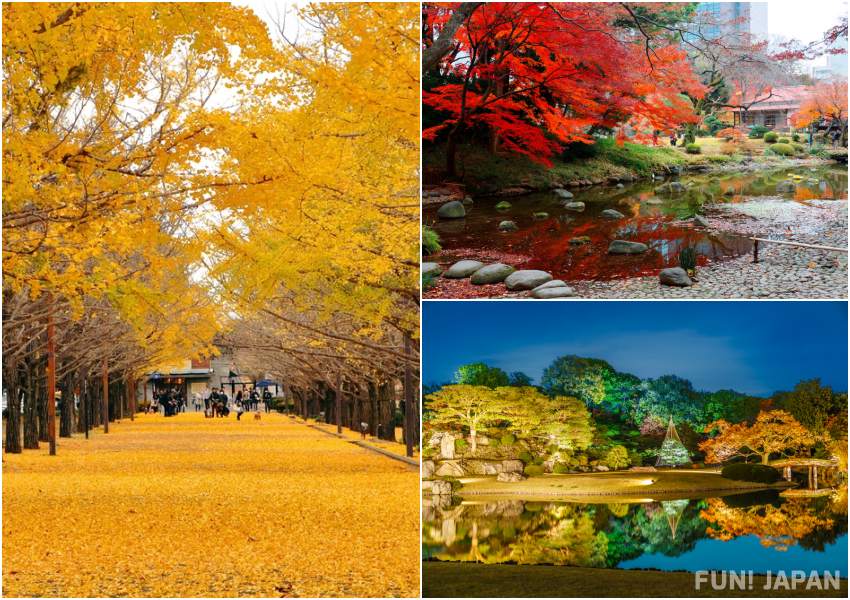 【Latest in 2022】A large collection of autumn leaves spots in Tokyo! Where to go to see the autumn leaves in Tokyo? park? Japanese garden? shrine?
