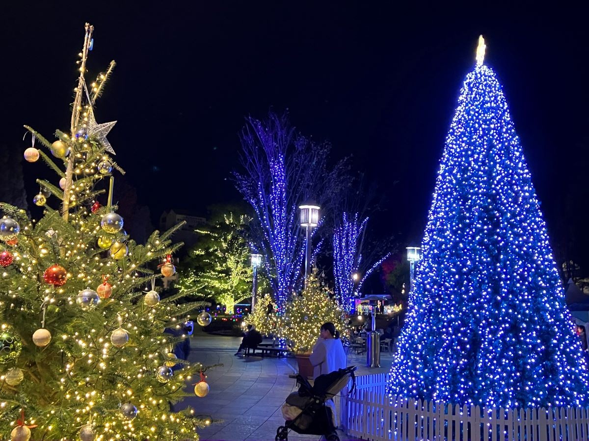 Lễ hội mùa đông Den Park  Aichi