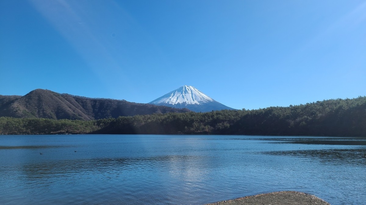 根場浜から西湖 富士山