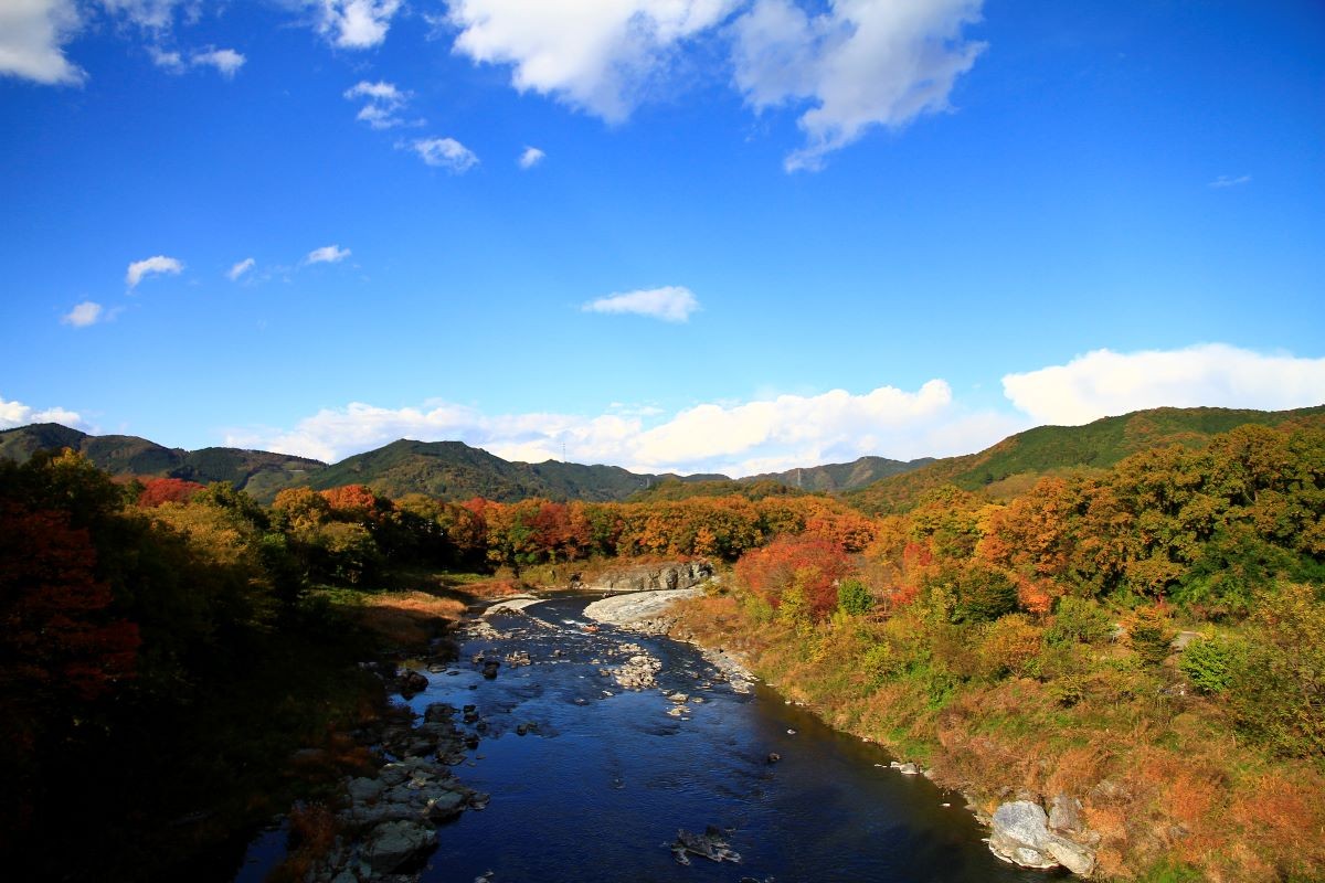 紅葉 金石水管橋 埼玉県 見頃 いつ おすすめ