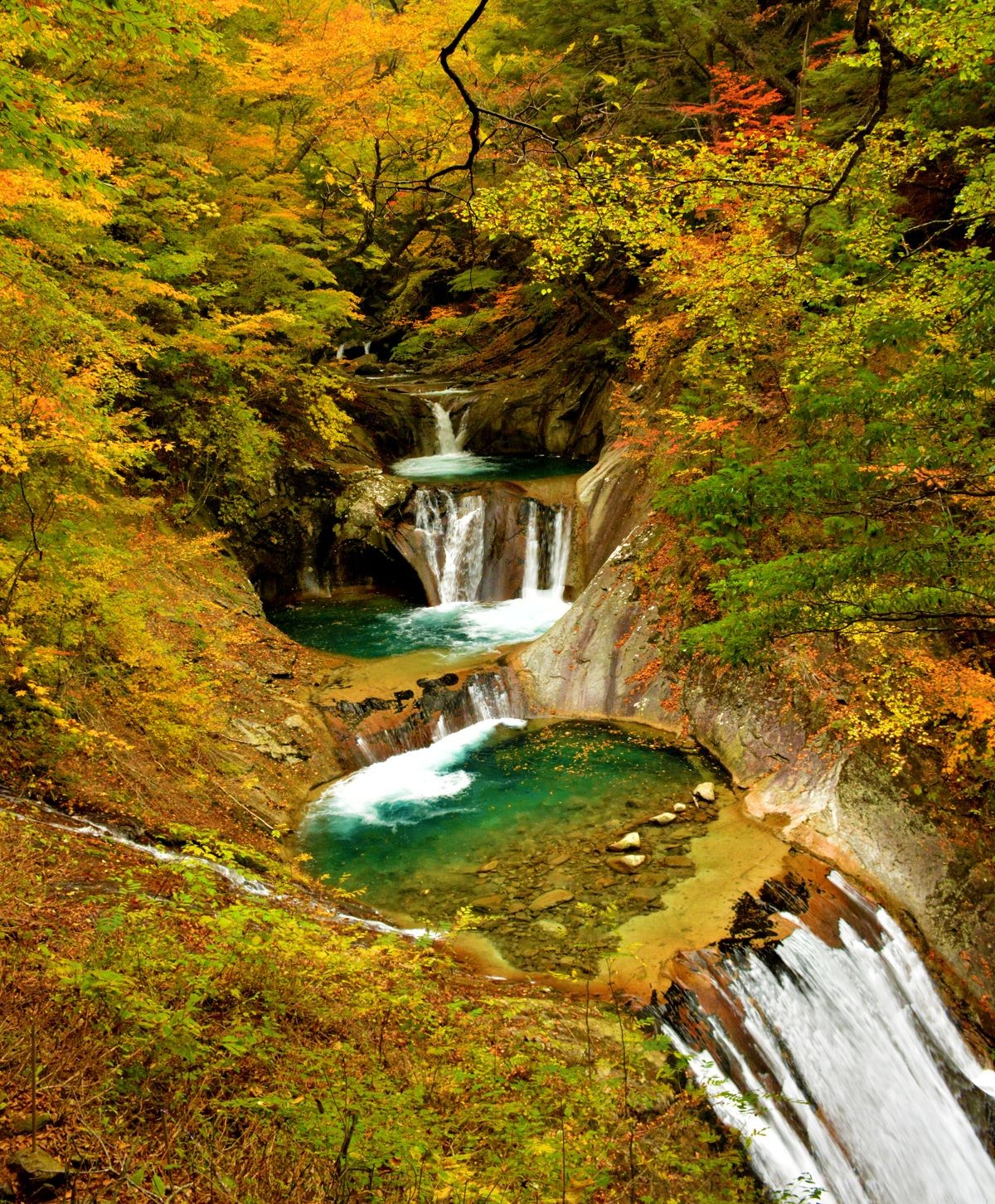 紅葉 山梨県 西沢渓谷 見頃 いつ おすすめ