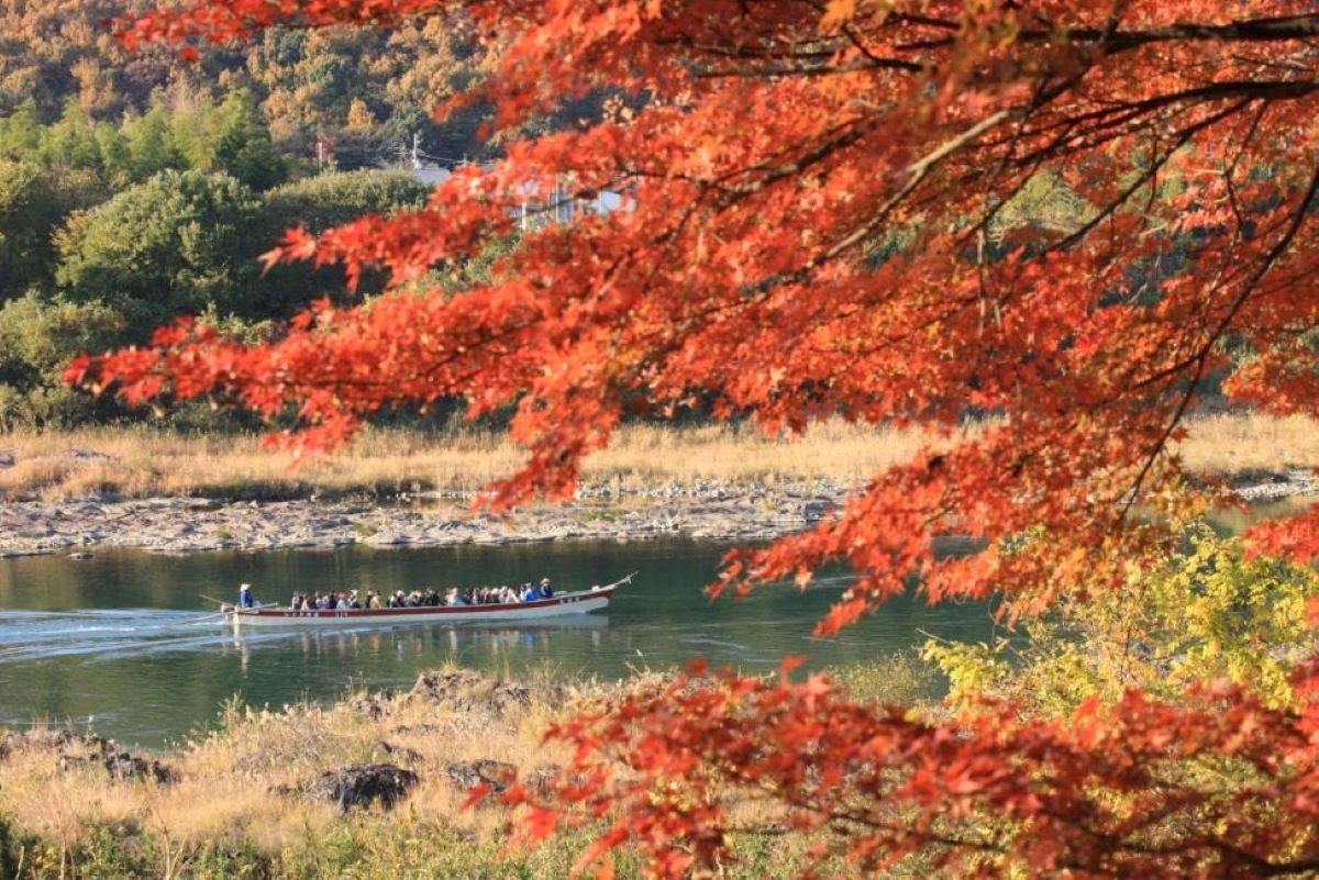 紅葉 香嵐渓 愛知県 