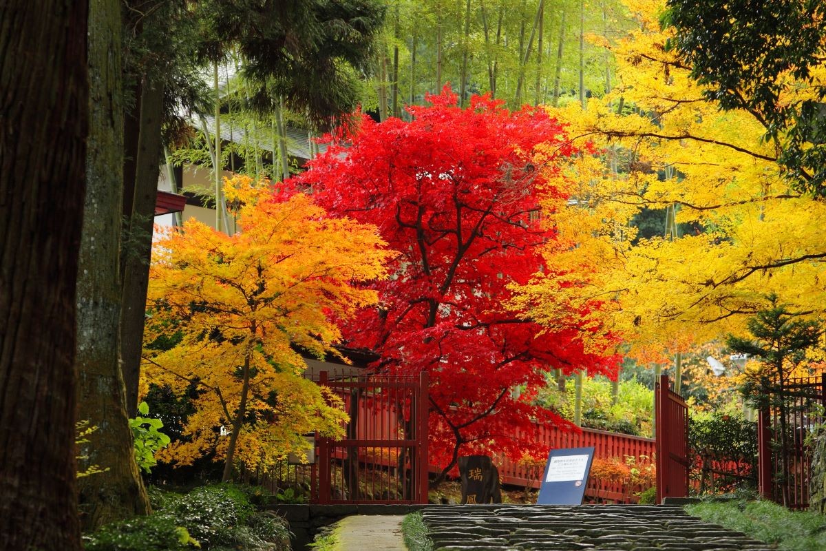 紅葉 瑞鳳殿 日本宮城縣