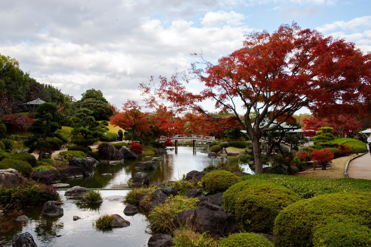 ใบไม้เปลี่ยนสี Daisen Park Japanese Garden โอซาก้า